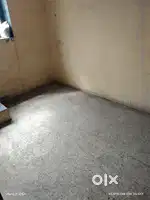 We need one female roommate.