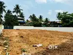 Thrikkakara 5Cent Land For Sale