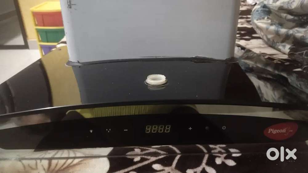 Chimney company (pigeon)