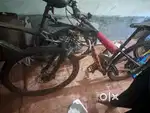 Scott bycycle