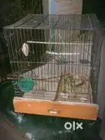 Cage for bird