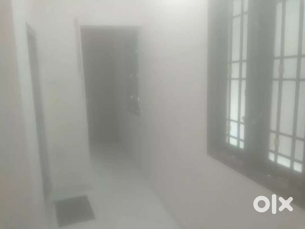 rent 1bhk first floor