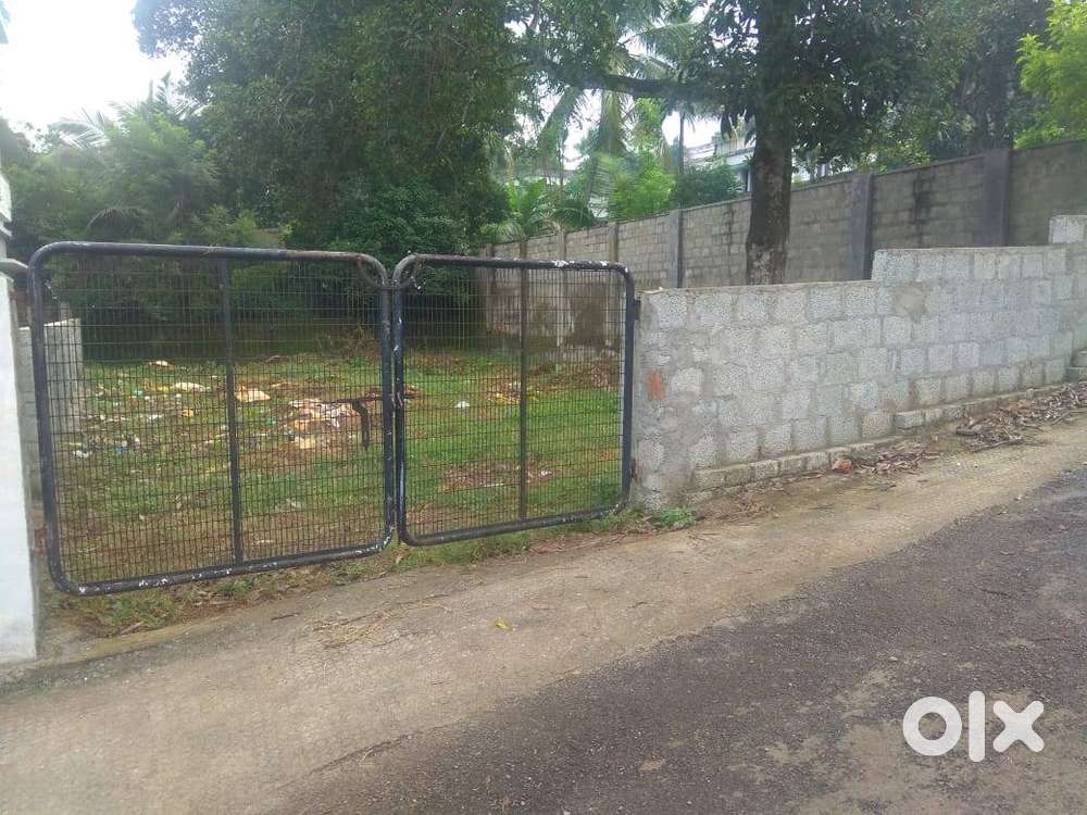 Premium 6-Cent Residential Plot for Sale at Edachira, Near InfoPark