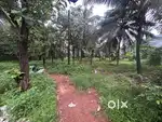 Plot for rent