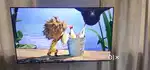 Tcl iffalcon TV 55 inch