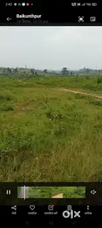 50000 hjar dismil