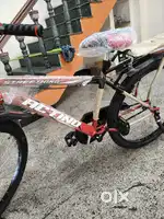Actino New Cycle