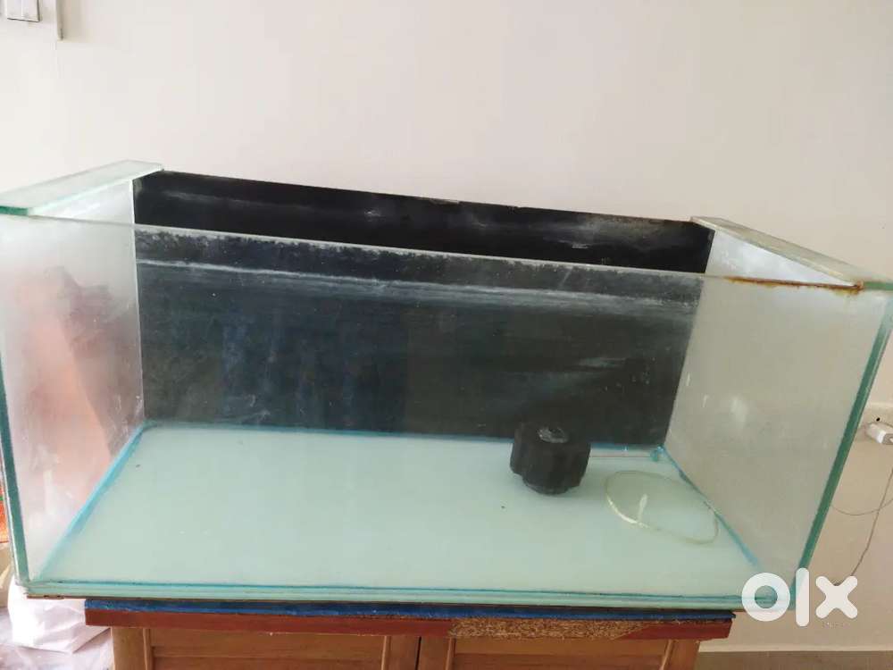 Two empty aquariums