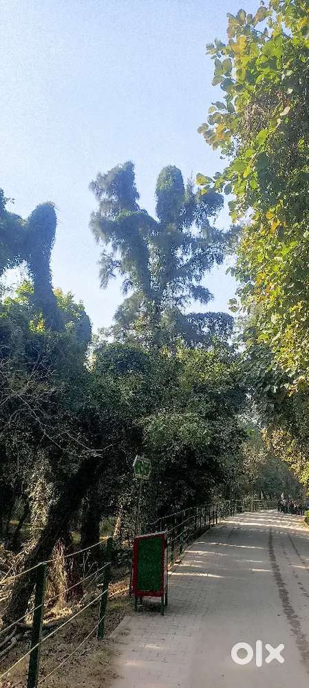 Puda approved plot 264 gjj park facing