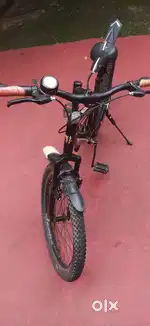 brands-momstar cycle