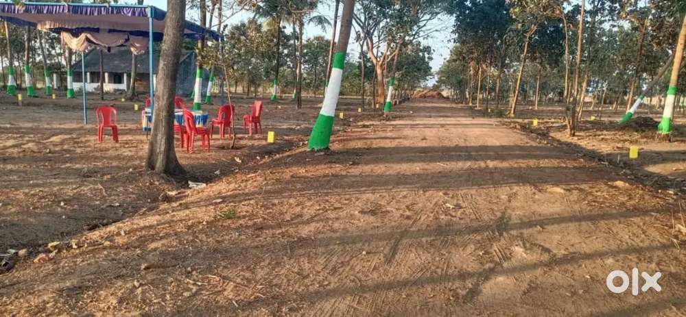 Low budget plots sale walajabath Bus stop near.