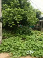 9 cents thota for sale cc road ki anukuni