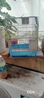 Imported cage