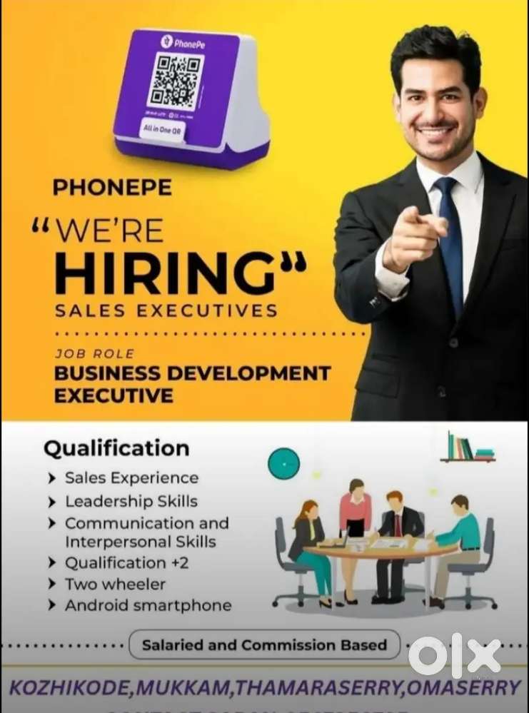 BUSINESS DEVELOPMENT EXECUTIVE