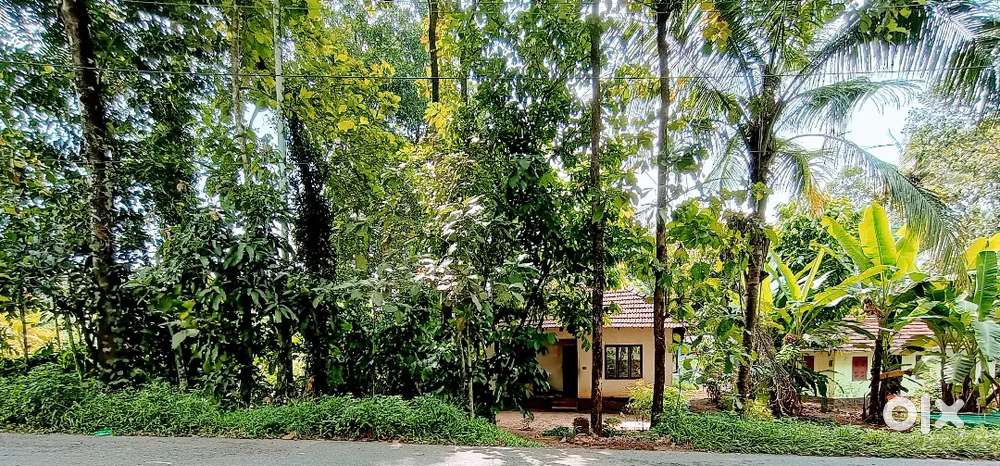 HOUSE  PLOT FOR URGENT SALE