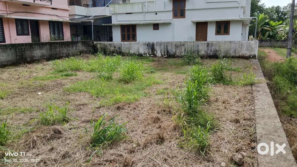 4.8 cent squre plot Rajagiri hospital 1km nalammile aluva