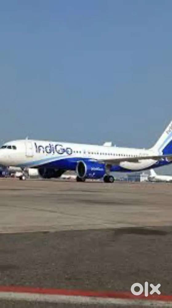 Cabin Crew/Airticket Counter Ground Staff Jobs in Indigo Airlines