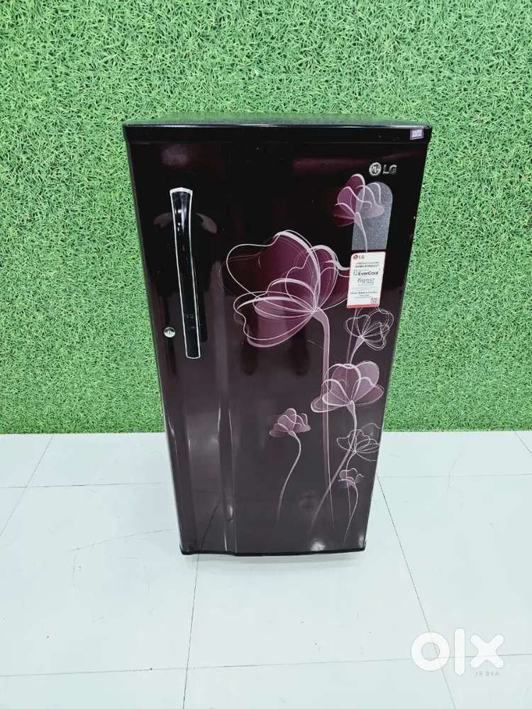 Lg single door refrigerator