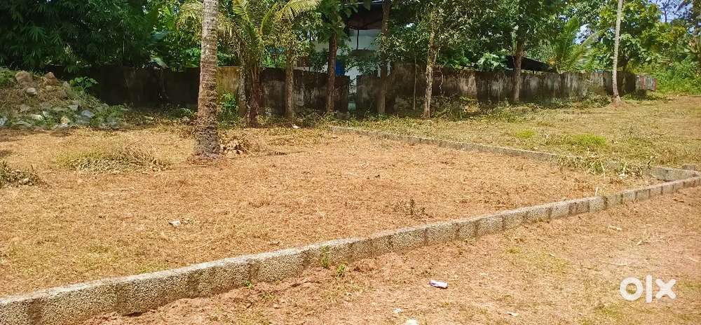 CHATHANOOR PLOT FOR SALE.