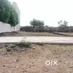 Land for rent