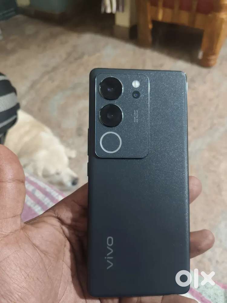 Vivo v29 pro New mobile phone good condition