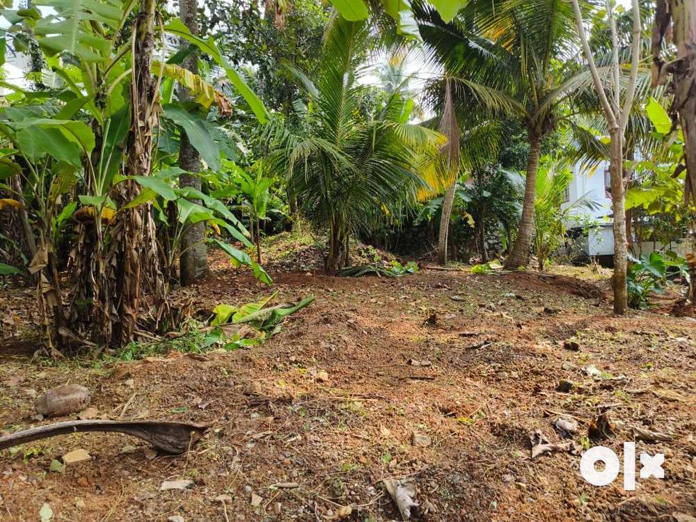 (ID-S196978) Residential 11.3 Cent Land For Sale At Kanjirampara