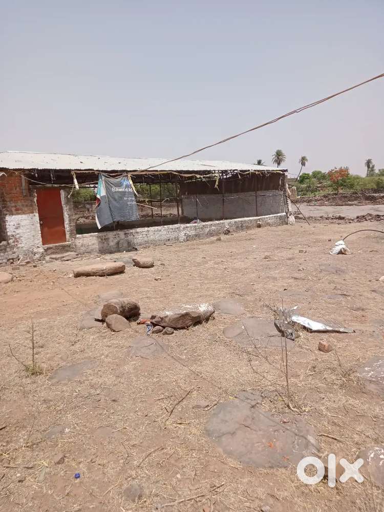 Poultry farm rent pr dena hai.