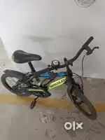 Pro30 streetcat