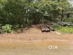5 Cent Residential Land for Sale at Vengola Onamkulam – ₹20 Lakh