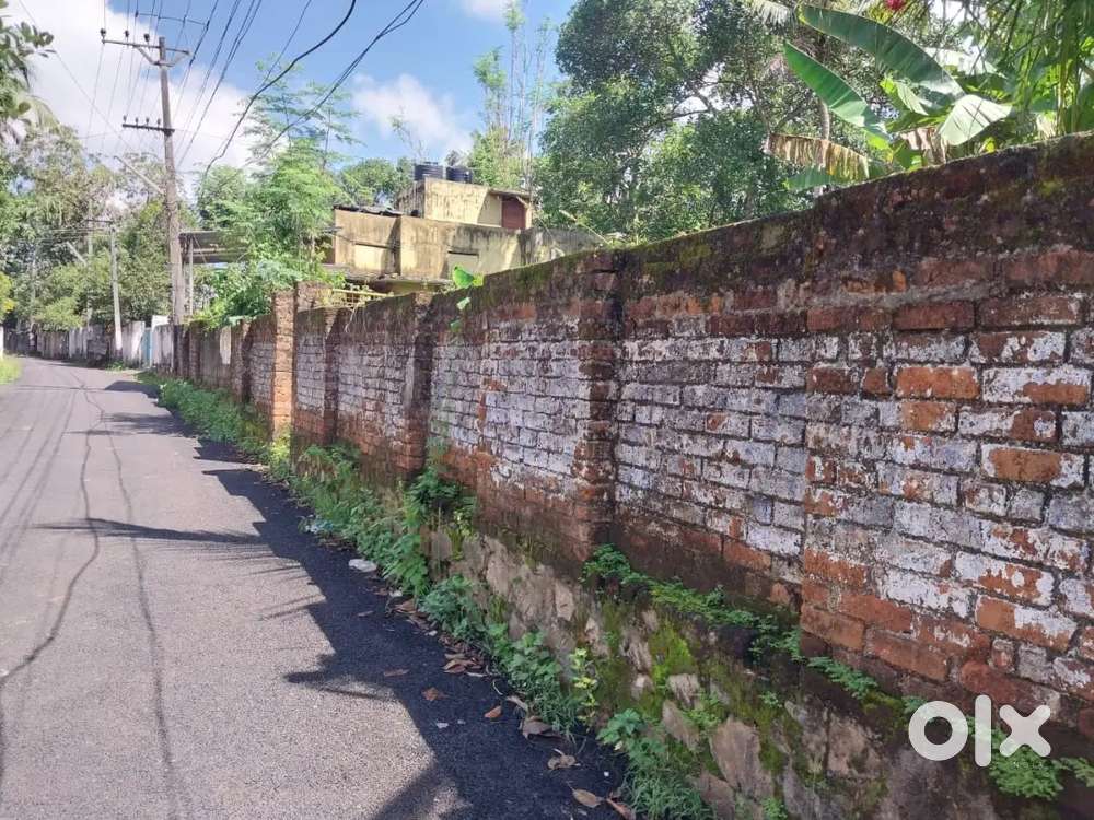 Plot for sale at Naruvamoodu near Chinmaya Vidyalaya