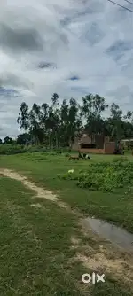100 gaj plot for sale , only buyer Contact  (  Sidpura Ganjdundwara )