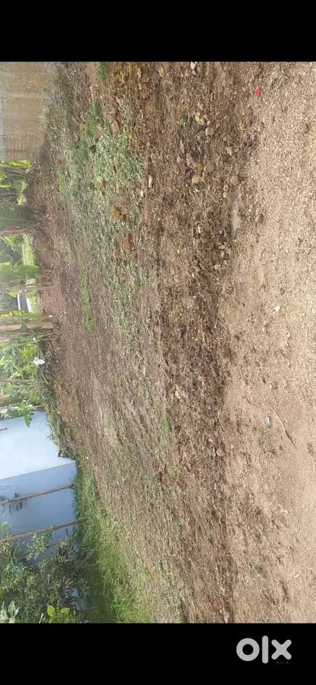 Ramarao peta ramachandrapuram