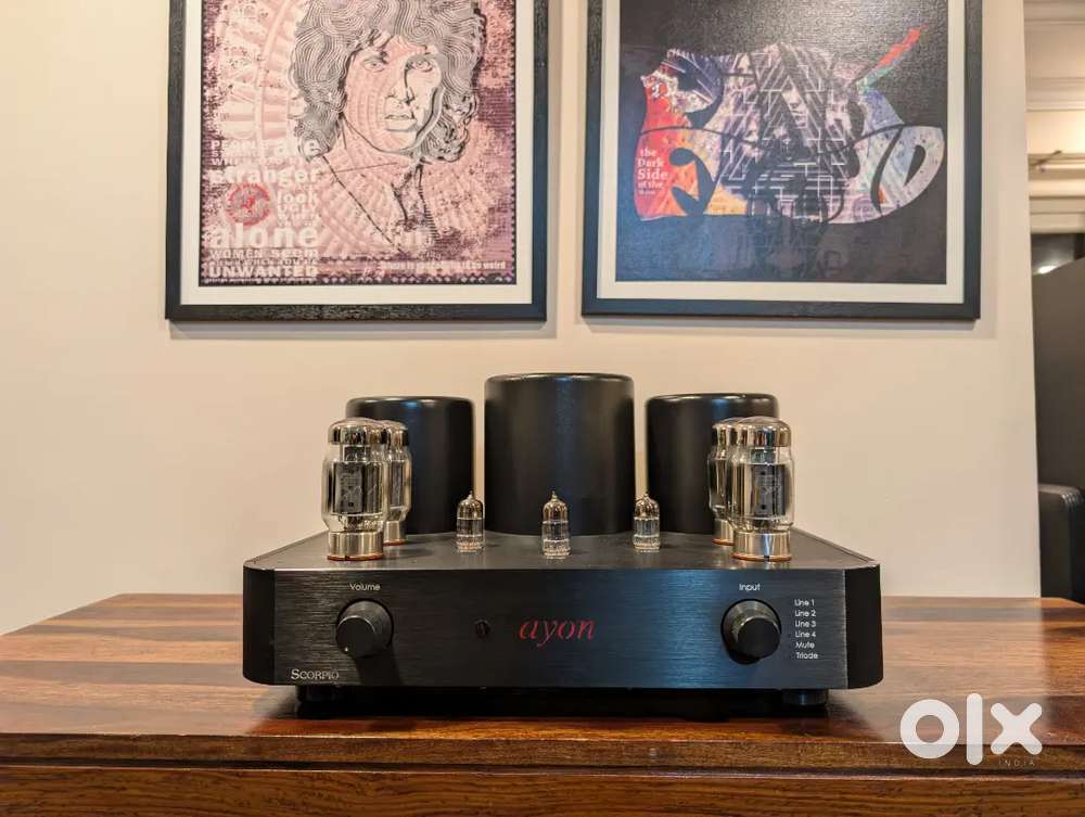Ayon Scorpio Tube Amplifier (Upgraded Mullard KT88 Tubes)