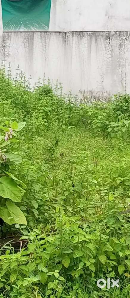 प्लॉट बेचना है