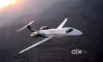 Need cabin crew girls for private jets (National/international travel)