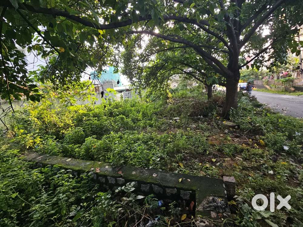 168 Sq. Yds North-Facing Plot in PNR Ameenpur - Prime Location!