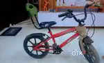 1 year old arjent sell
