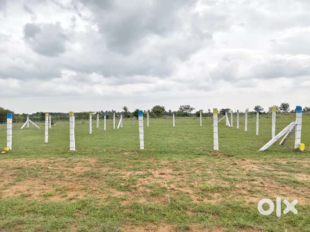 அன்னுர் அருகில் ஒரு சென்ட் விலை 1.99 இலச்சம் மட்டுமே