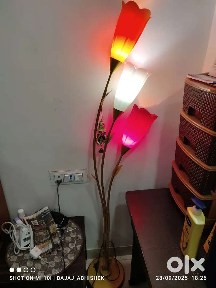 Designer Lamp
