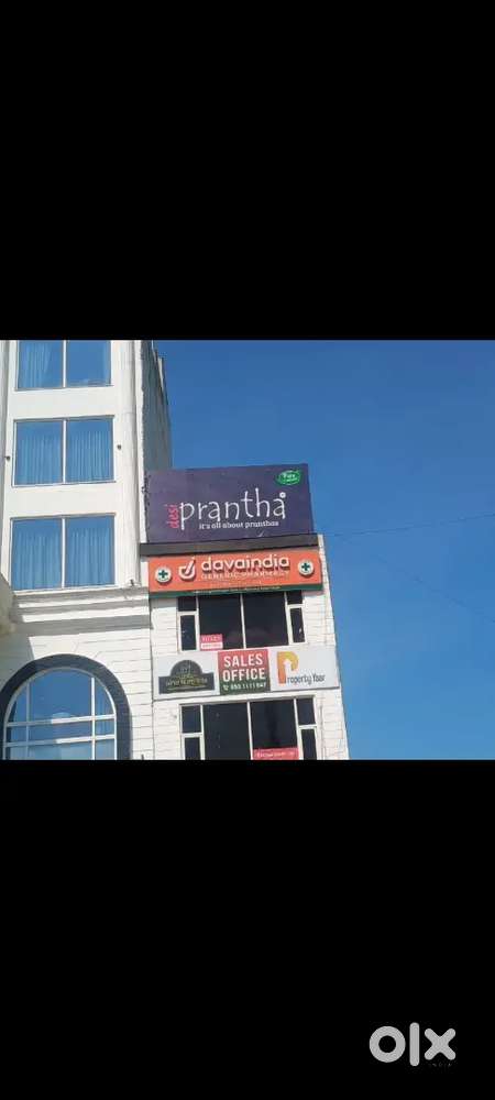 Need medical staff and cleaning staffs