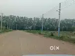 387 Gaj prime location plot for Sale in Huda Sector-25, rohtak