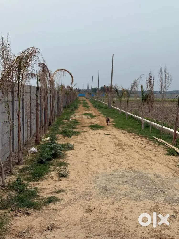 अपने लिए अपनो के लिए ले अपना घर सिर्फ 8500रुपए प्रति गज में