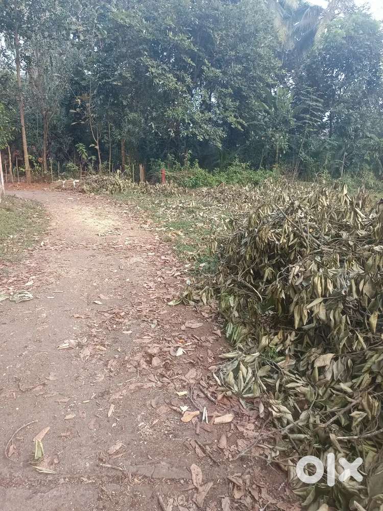 Emergency plot selling