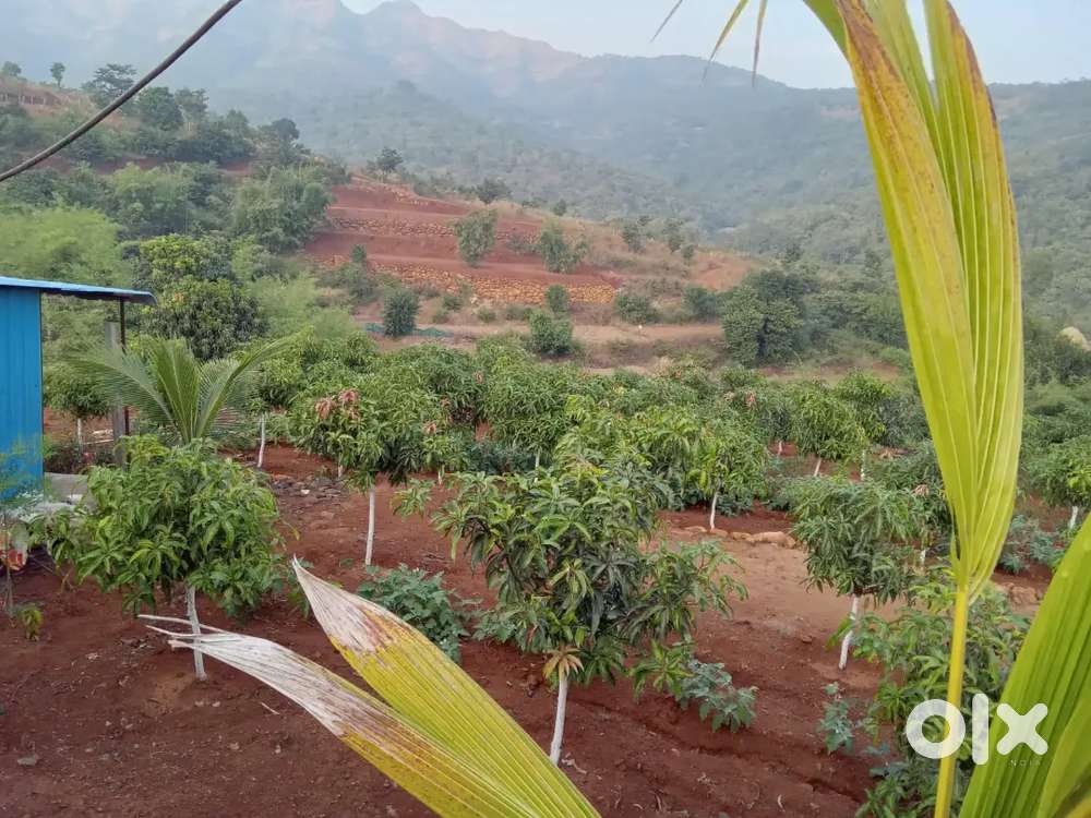 तुमच्या 'ग्रीन लाईफ'ची योजना आजच निश्चित करा !