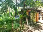 8 Cent Land For Sale.