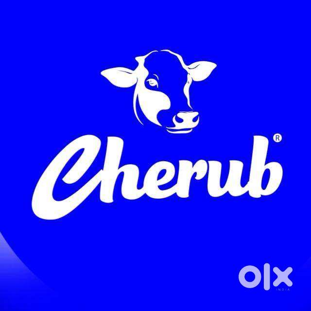 Shop Keeper, Sales Promotor, Shop Supervisor