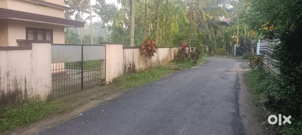 Aluva karumalloor 8 ct plot ct 3 75 lk