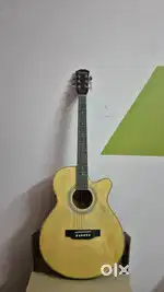 Techno semi acoustic Guitar