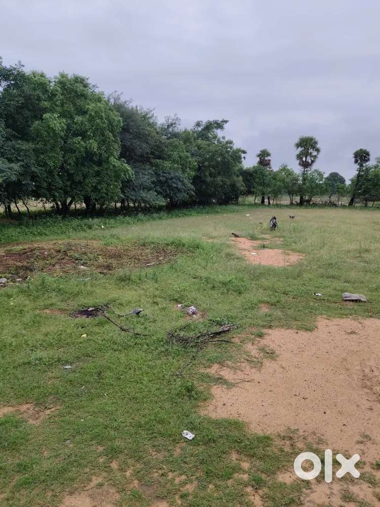 Agriculture land sale low budget