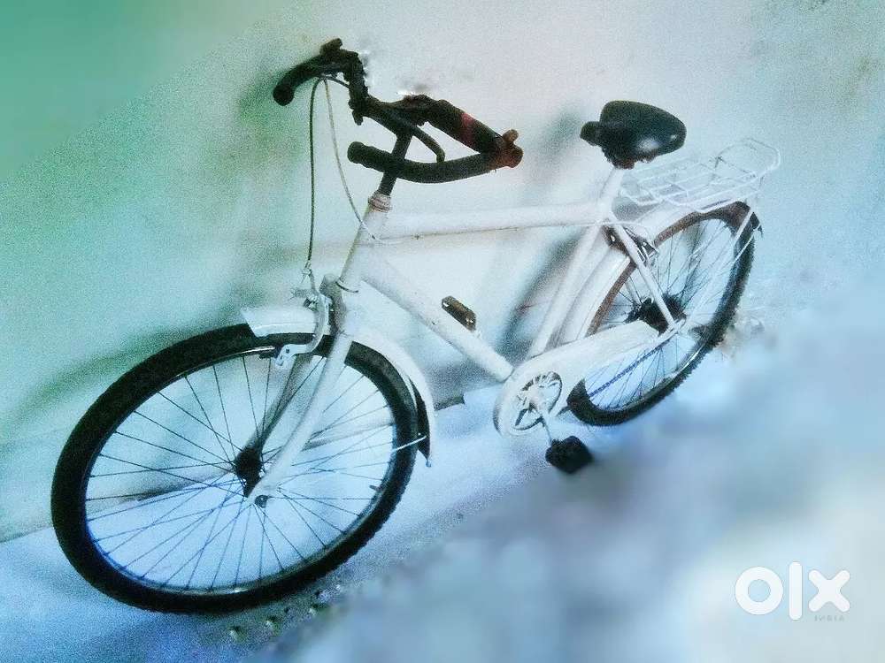 MOUNTAIN BICYCLE